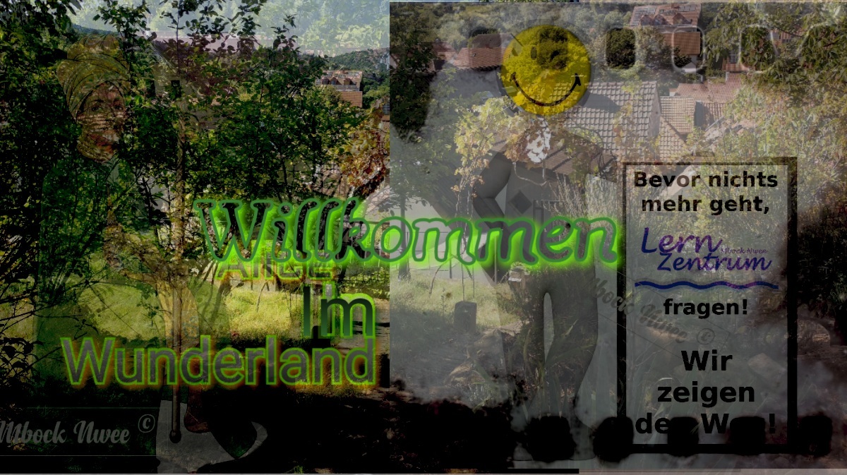 Willkommen im Wunderland